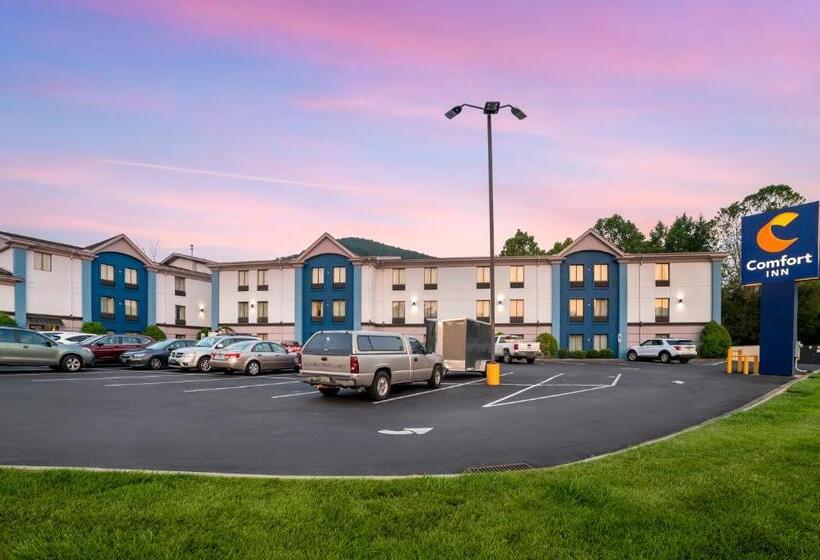 Отель Comfort Inn Asheville East Blue Ridge Pkwy Access