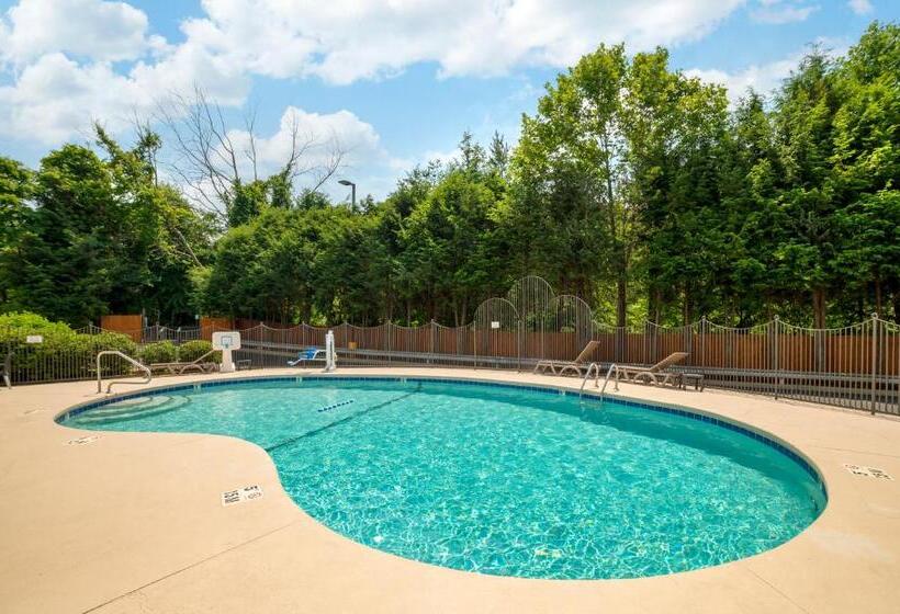 Отель Comfort Inn Asheville East Blue Ridge Pkwy Access