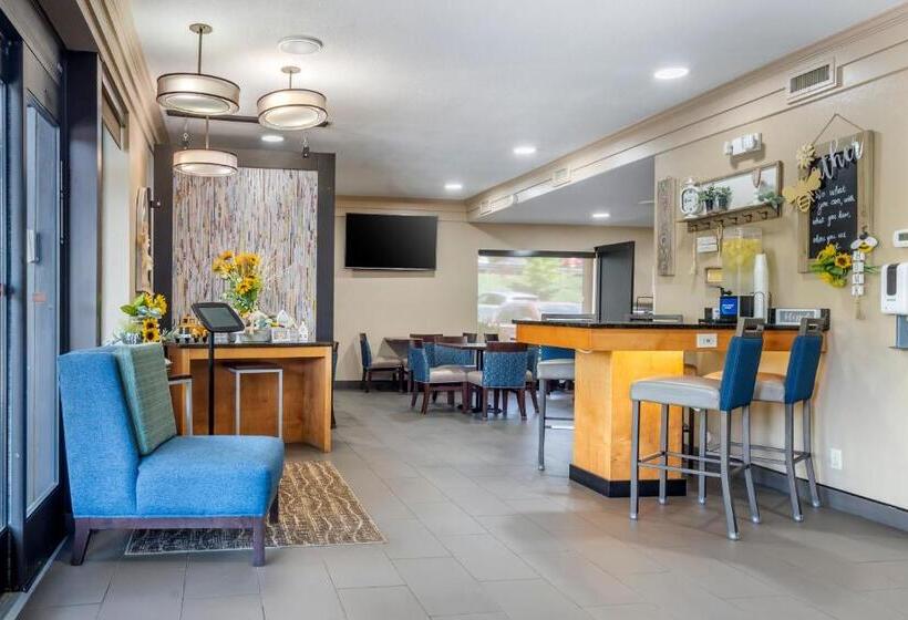 Отель Comfort Inn Asheville East Blue Ridge Pkwy Access