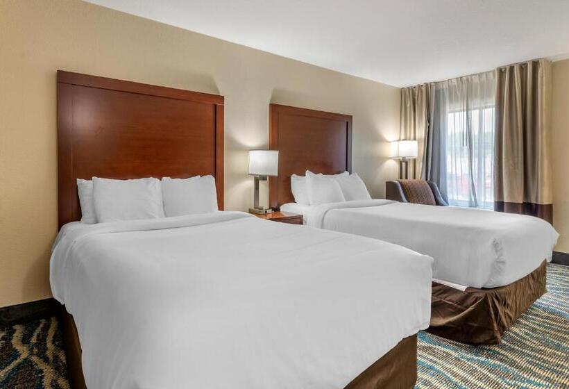 Отель Comfort Inn Asheville East Blue Ridge Pkwy Access