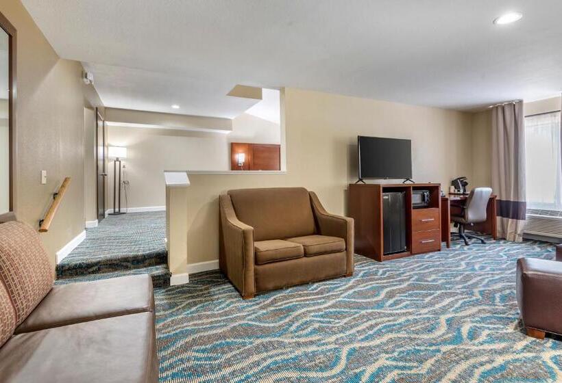 Отель Comfort Inn Asheville East Blue Ridge Pkwy Access
