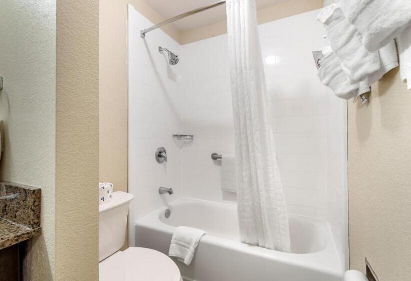 Отель Comfort Inn Asheville East Blue Ridge Pkwy Access