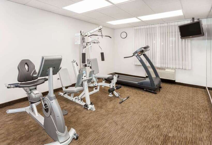 هتل Days Inn & Suites By Wyndham Arlington Heights