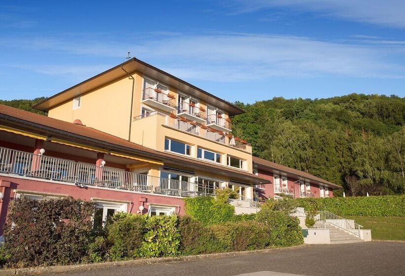 Отель Domaine Du Revermont   Logis