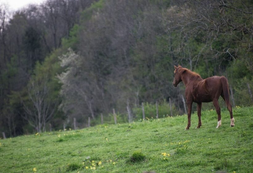 Отель Domaine Du Revermont Logis