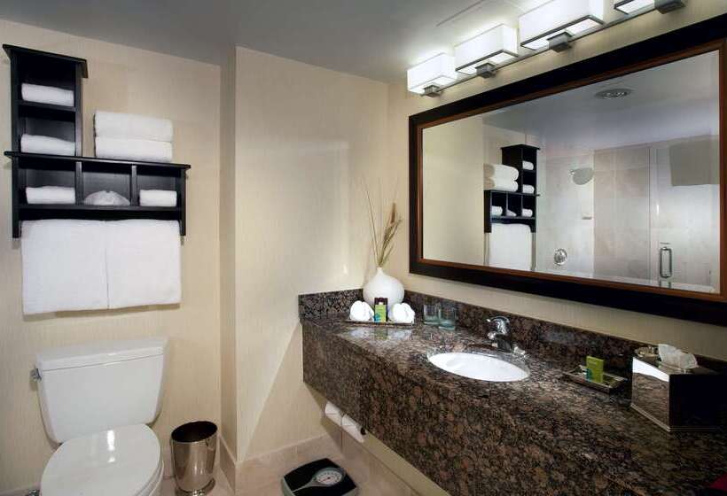 هتل Embassy Suites By Hilton Chicago Downtown River North