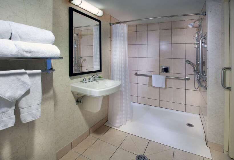 هتل Embassy Suites By Hilton Chicago Downtown River North