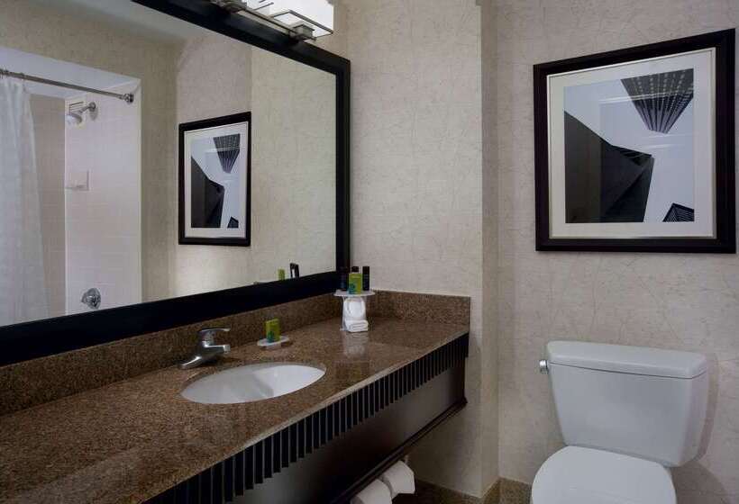 هتل Embassy Suites By Hilton Chicago Downtown River North