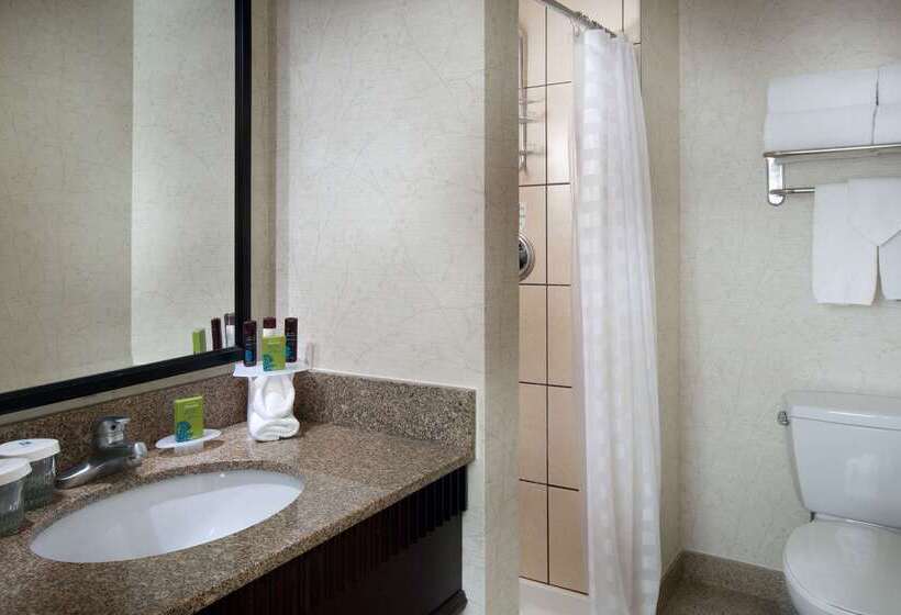 هتل Embassy Suites By Hilton Chicago Downtown River North