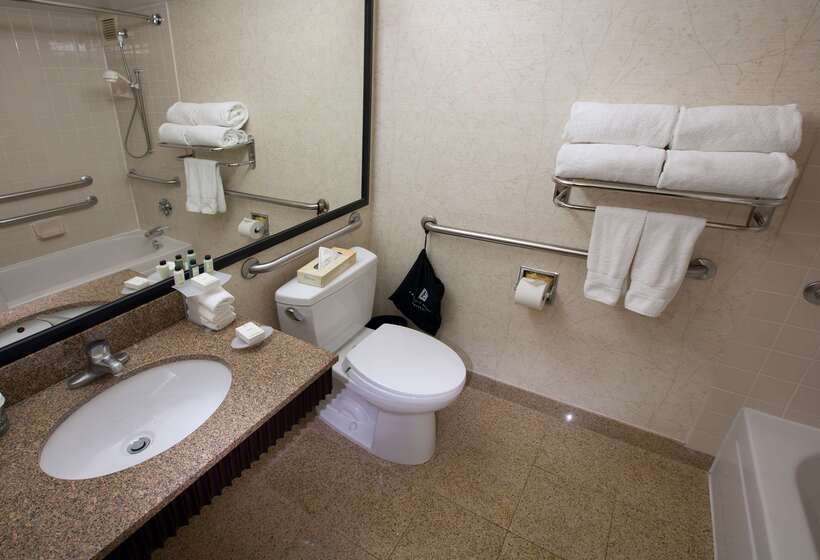 هتل Embassy Suites By Hilton Chicago Downtown River North