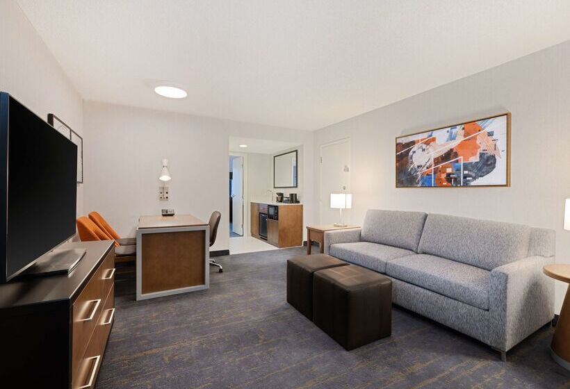 هتل Embassy Suites By Hilton Chicago Downtown River North