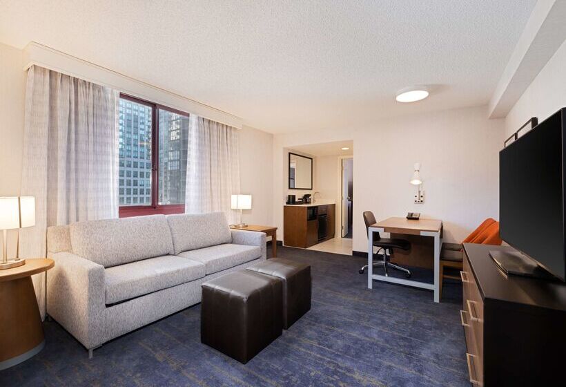 هتل Embassy Suites By Hilton Chicago Downtown River North