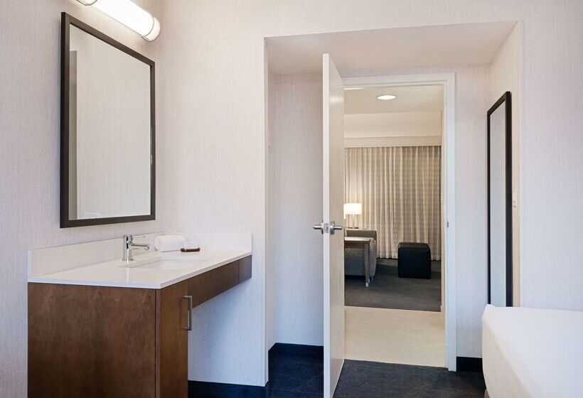 هتل Embassy Suites By Hilton Chicago Downtown River North