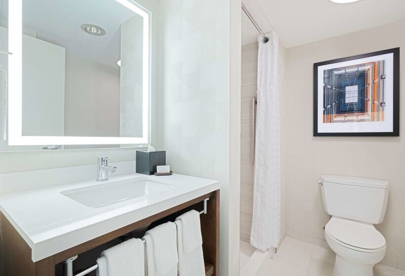 هتل Embassy Suites By Hilton Chicago Downtown River North