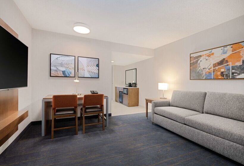 هتل Embassy Suites By Hilton Chicago Downtown River North