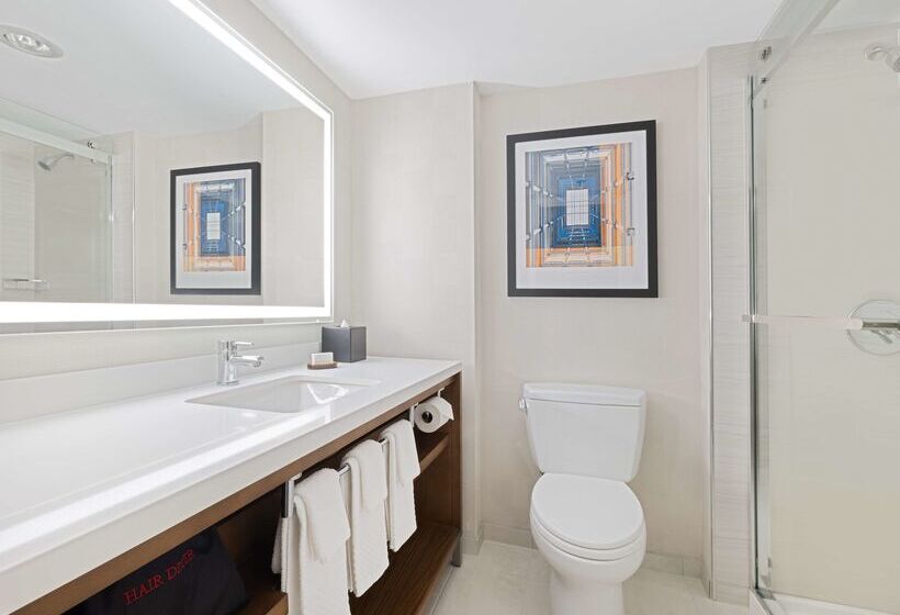 هتل Embassy Suites By Hilton Chicago Downtown River North