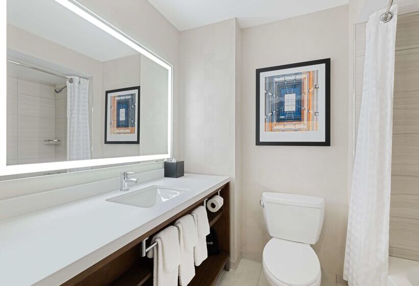 هتل Embassy Suites By Hilton Chicago Downtown River North