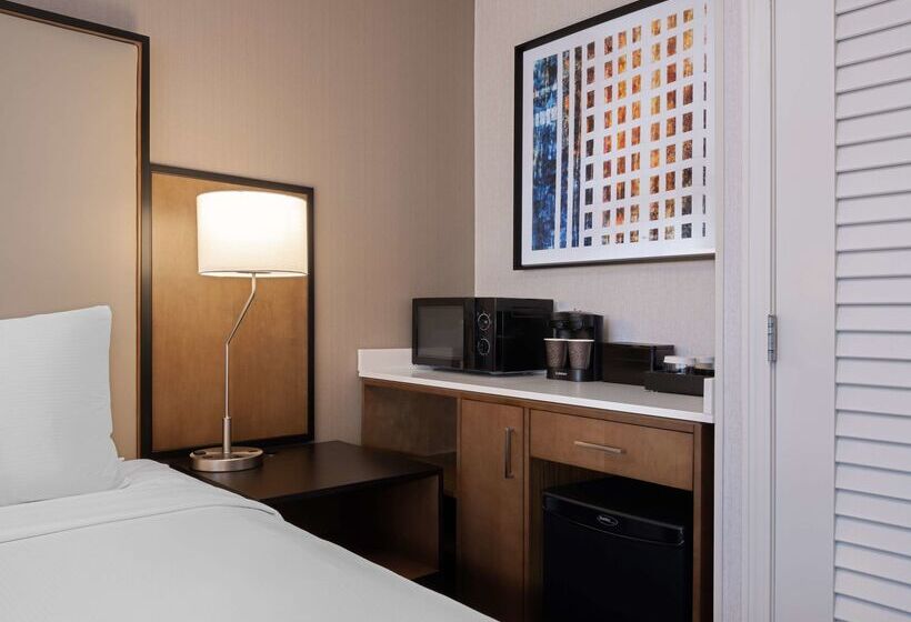 هتل Embassy Suites By Hilton Chicago Downtown River North