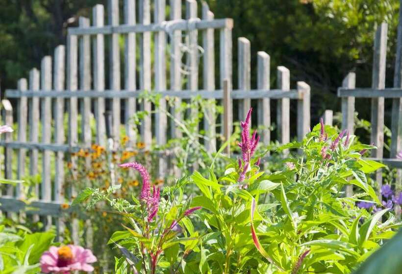 فندق The First Colony Inn