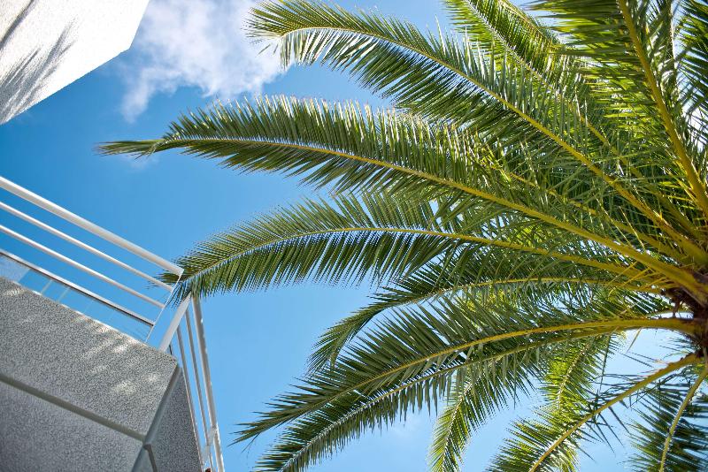 Golden Tulip Sophia Antipolis   Hotel & Spa