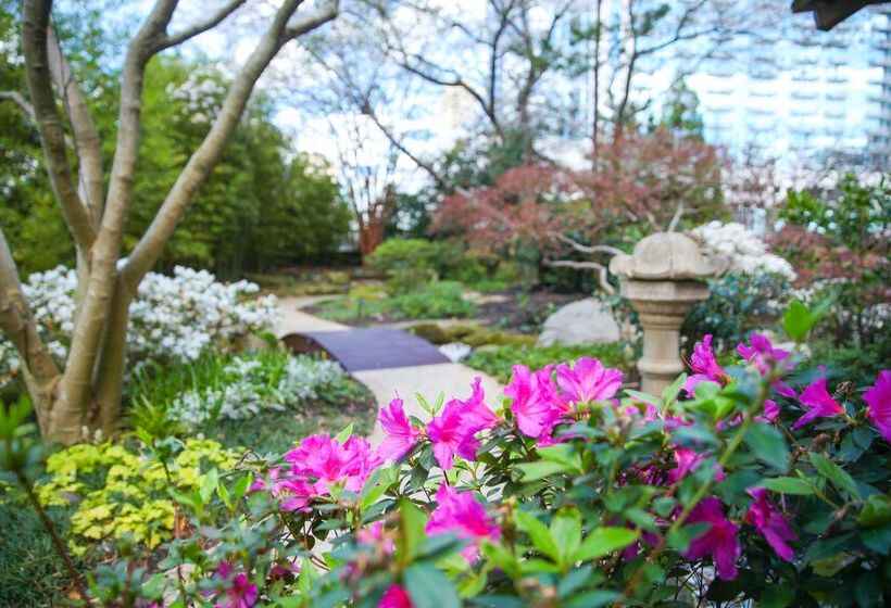 Отель Grand Hyatt Atlanta In Buckhead