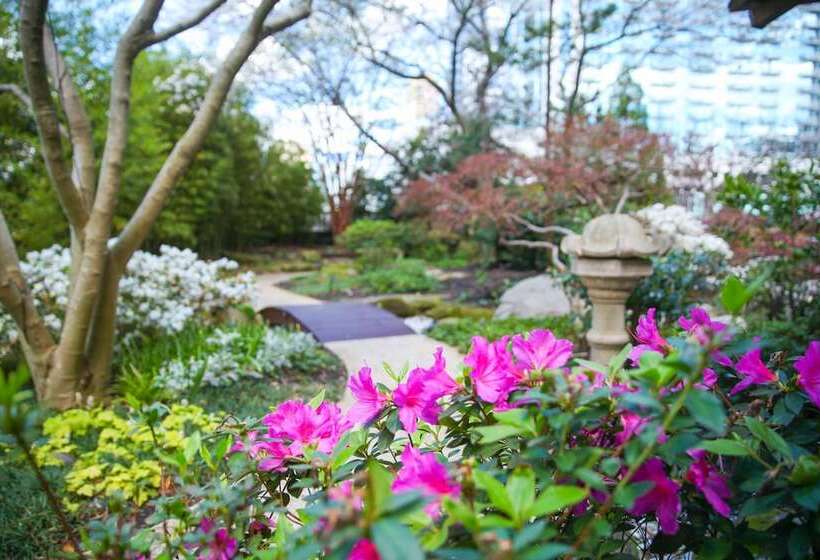 Отель Grand Hyatt Atlanta In Buckhead