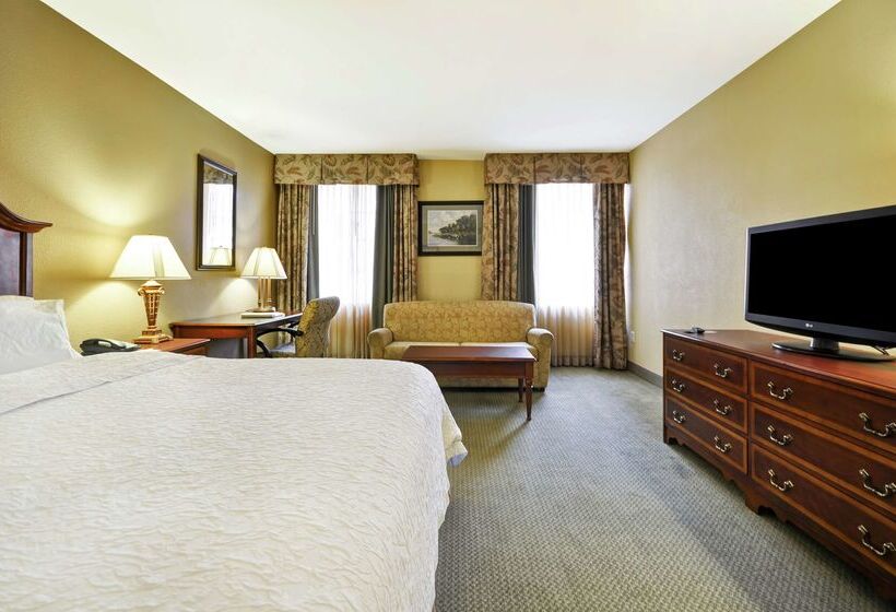 ホテル Hampton Inn Charleston Historic District