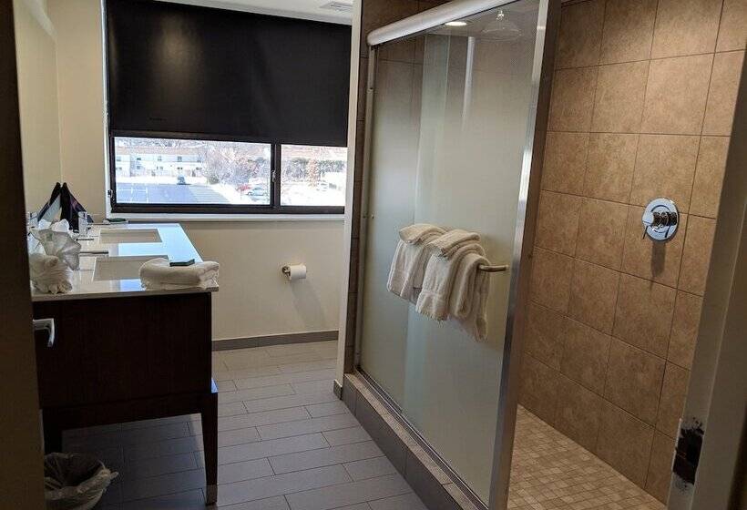 酒店 Holiday Inn Champaign, An Ihg