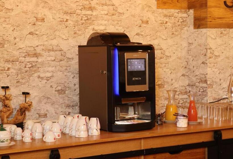 فندق Hôtel & Restaurant Le Patio Vichy