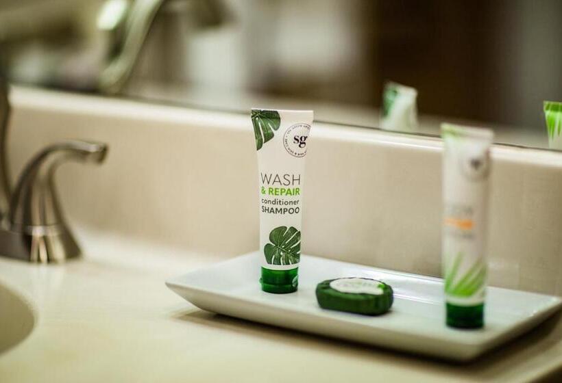 هتل Inn At The Canyons