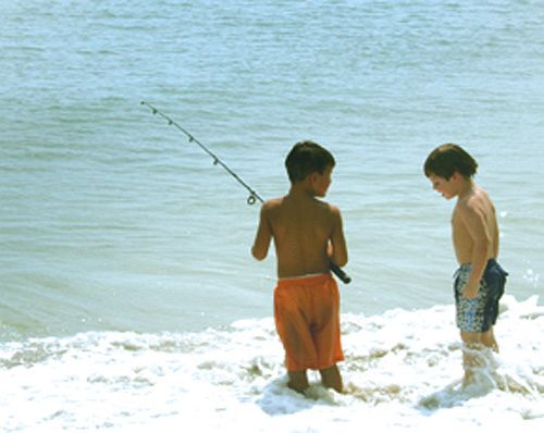 ホテル Jonathan Harbour