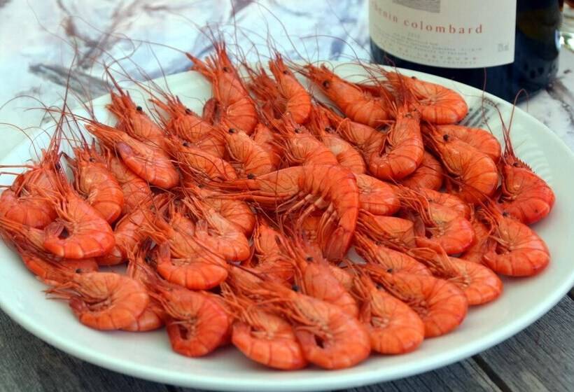 فندق Ker Vennaik