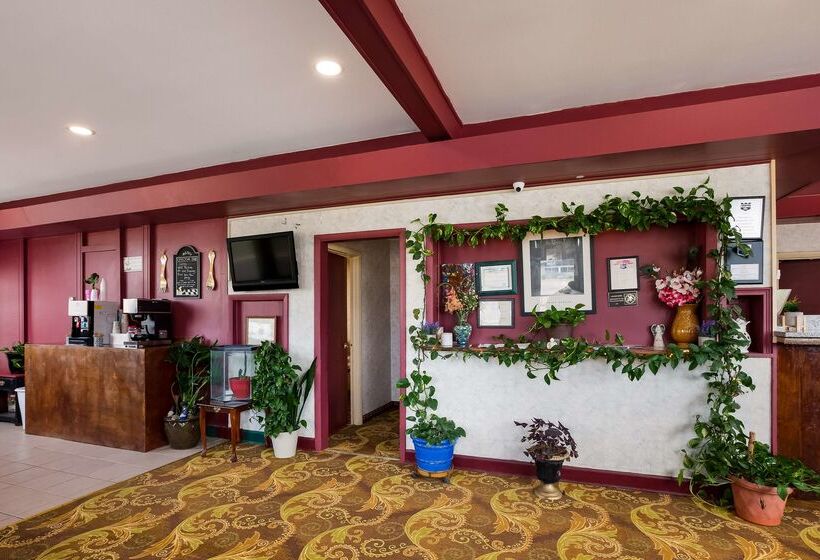 酒店 Knights Inn Fayetteville Fort Bragg