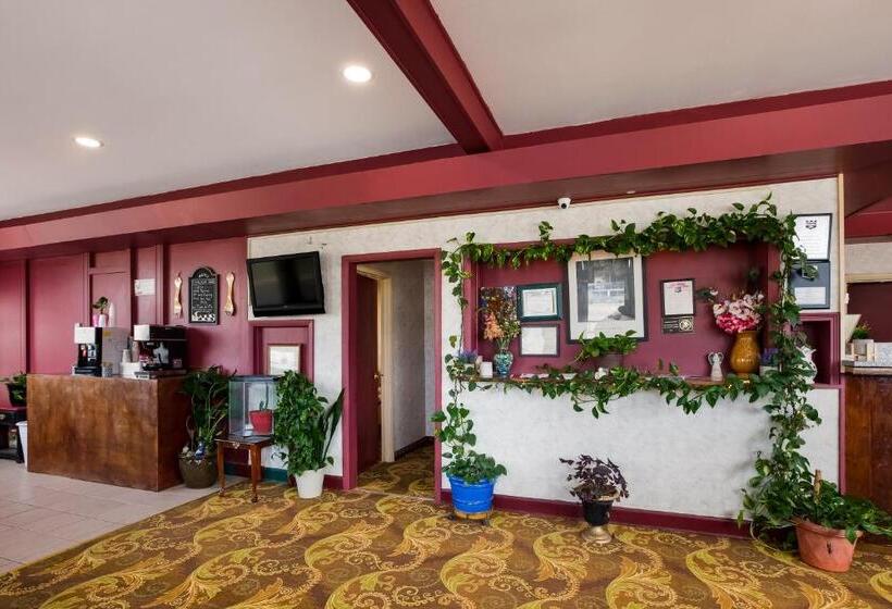 酒店 Knights Inn Fayetteville Fort Bragg