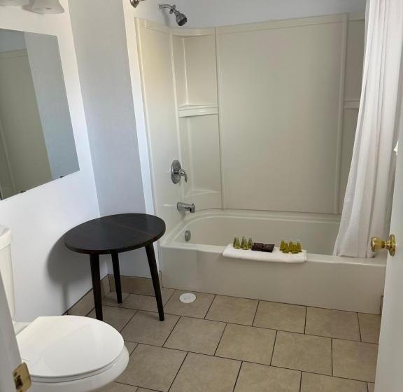 בית מלון כפרי Lamplighter Lodge