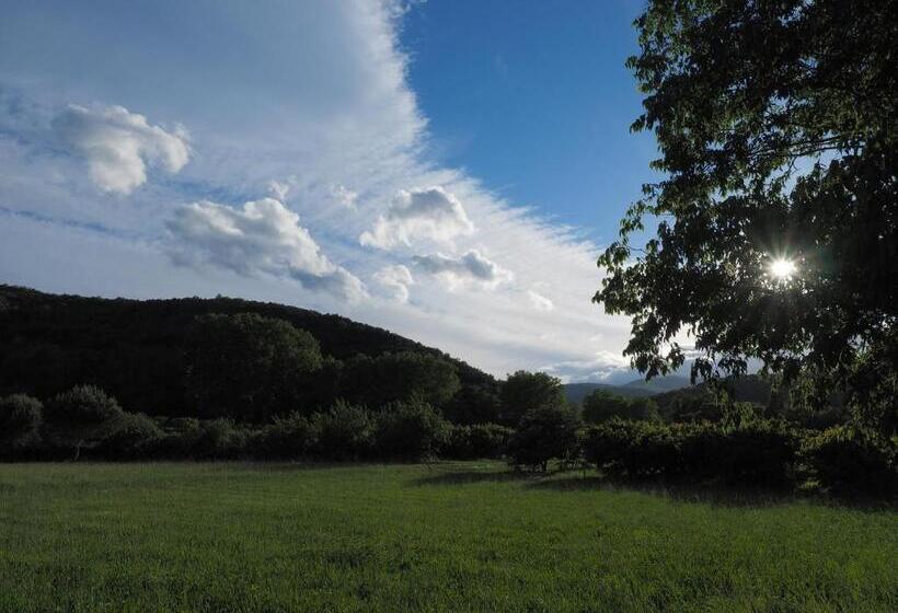 Отель Le Mas Trilles