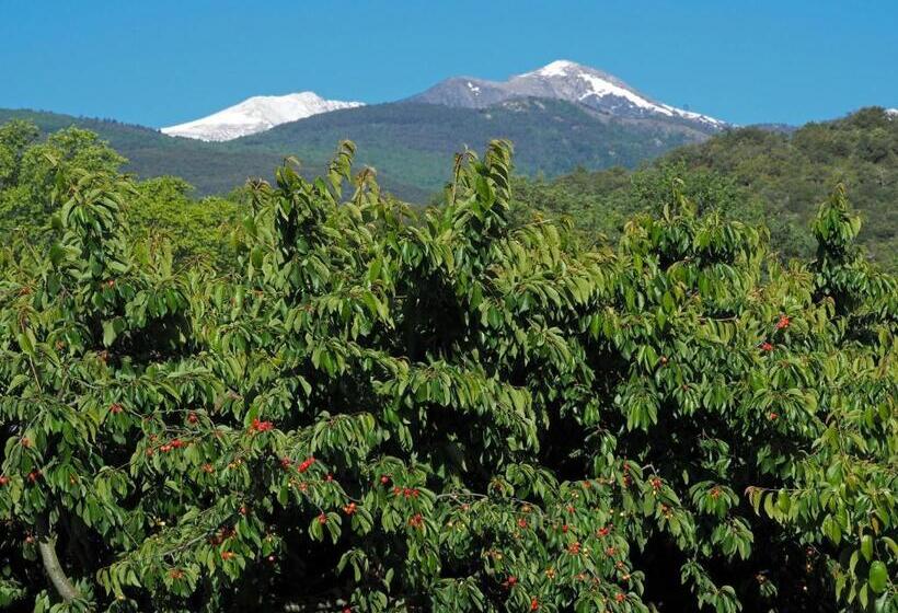 Отель Le Mas Trilles