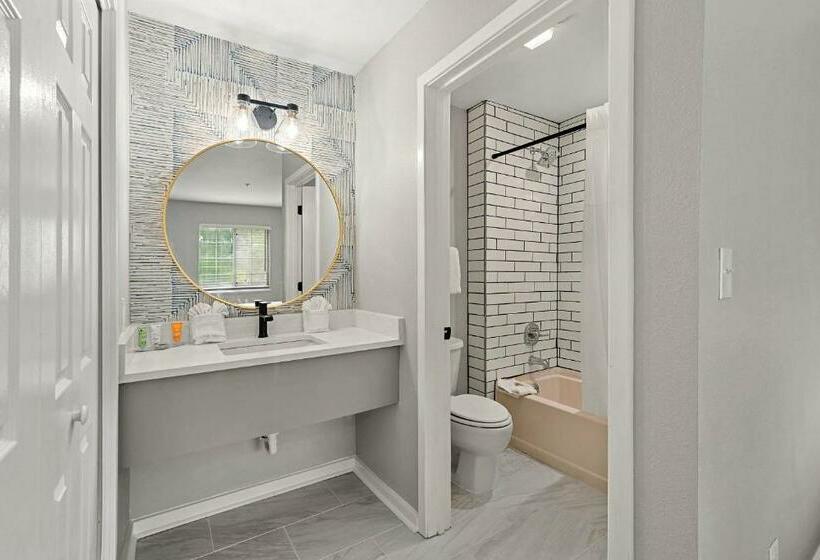 酒店 The 505 Collection