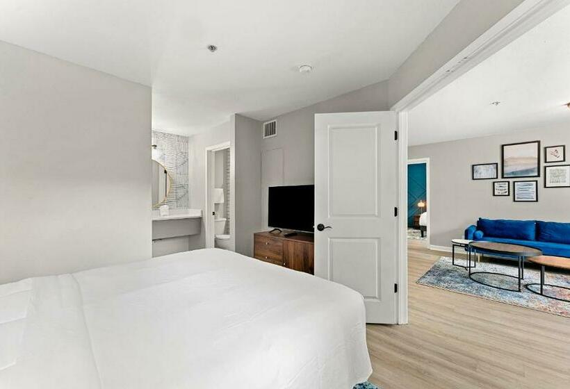 酒店 The 505 Collection