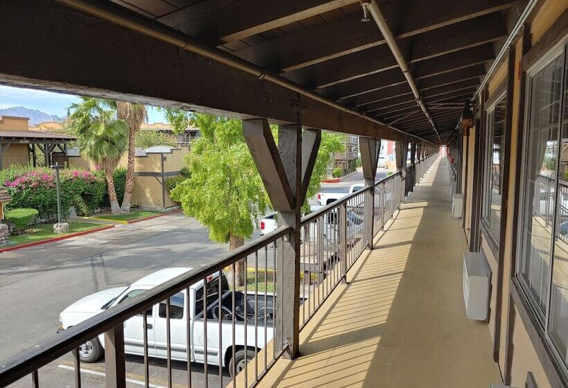 فندق The New Pioneer