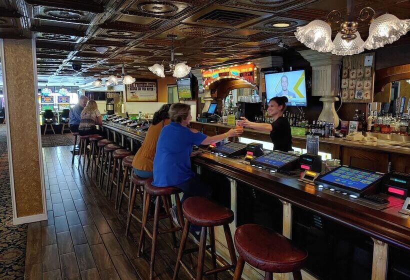 فندق The New Pioneer