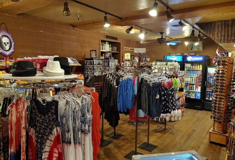 فندق The New Pioneer