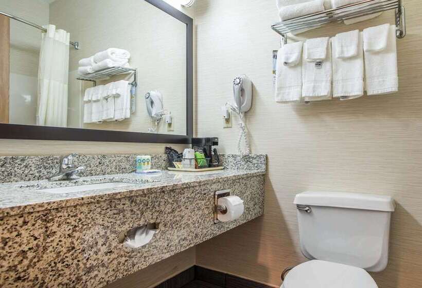 בית מלון כפרי Quality Inn & Suites Bloomington I 55 And I 74