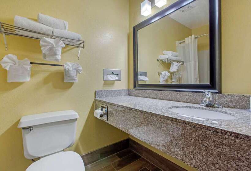 酒店 Quality Inn Williamston