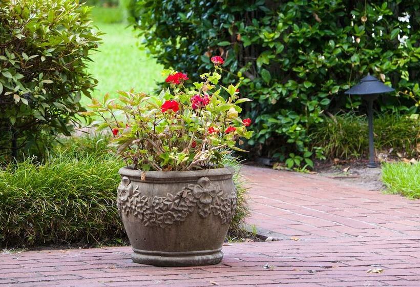 فندق Rhett House