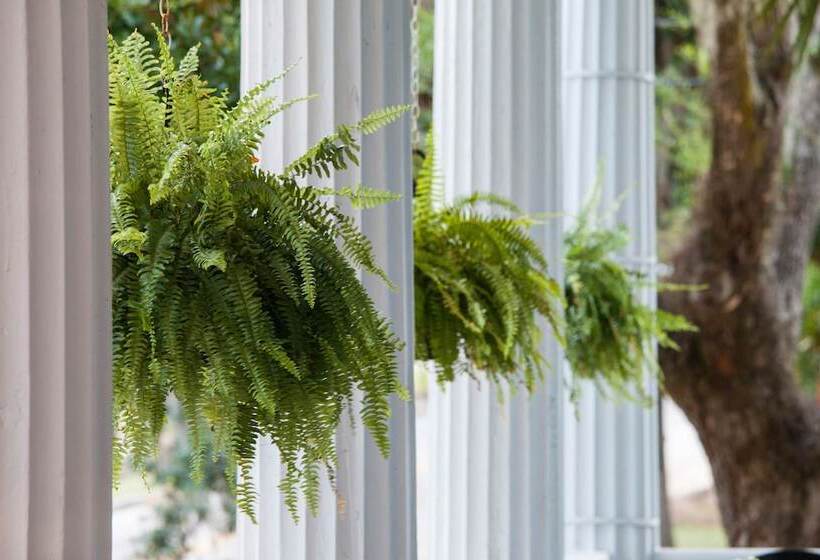 فندق Rhett House