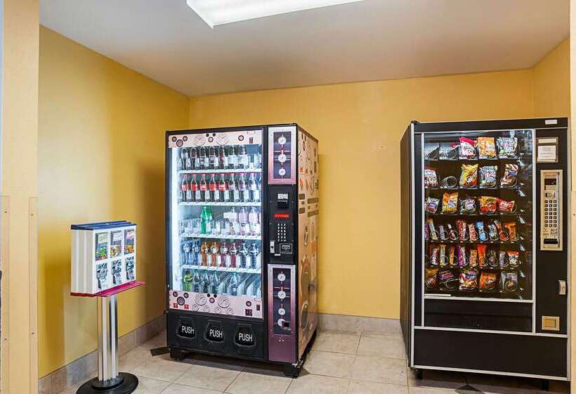 فندق Rodeway Inn & Suites