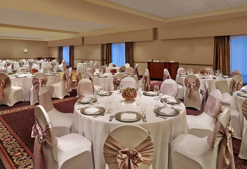 هتل Sheraton Suites Chicago Elk Grove