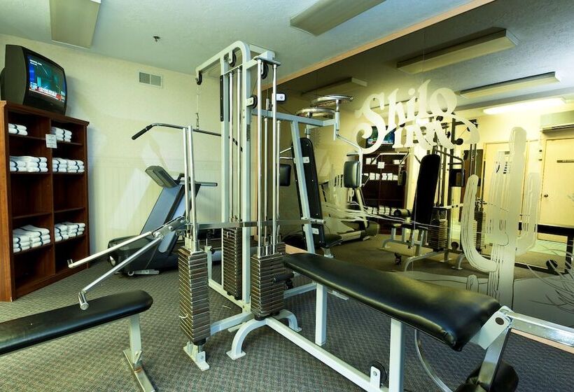 בית מלון כפרי Shilo Inn Elko