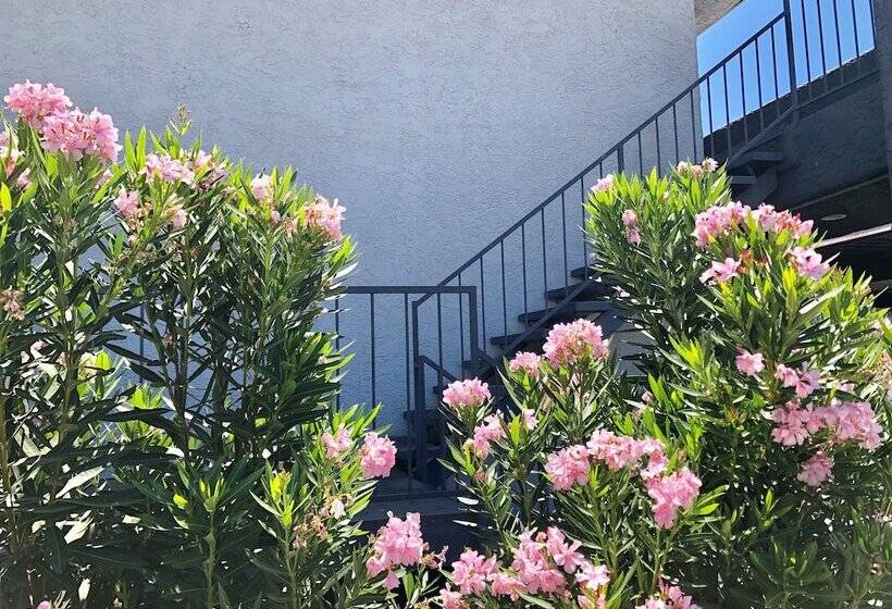 ホテル Siegel Slots And Suites